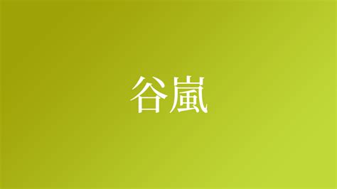 嵐 名字|「嵐」という名字（苗字）の読み方は？レア度や由来、漢字の意。